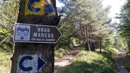 Repište, lesná cesta, hrad Marcus