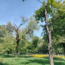 Mestský park Košice