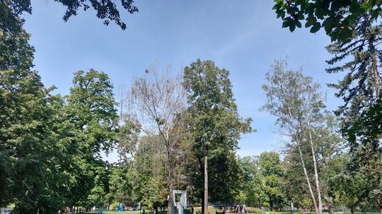 Bratislavský kraj chce zrevitalizovať park v Stupave, aj s dôrazom na zmenu klímy