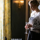 Dunaj k vašim službám, Jana Majeská