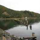 shelly-bay
