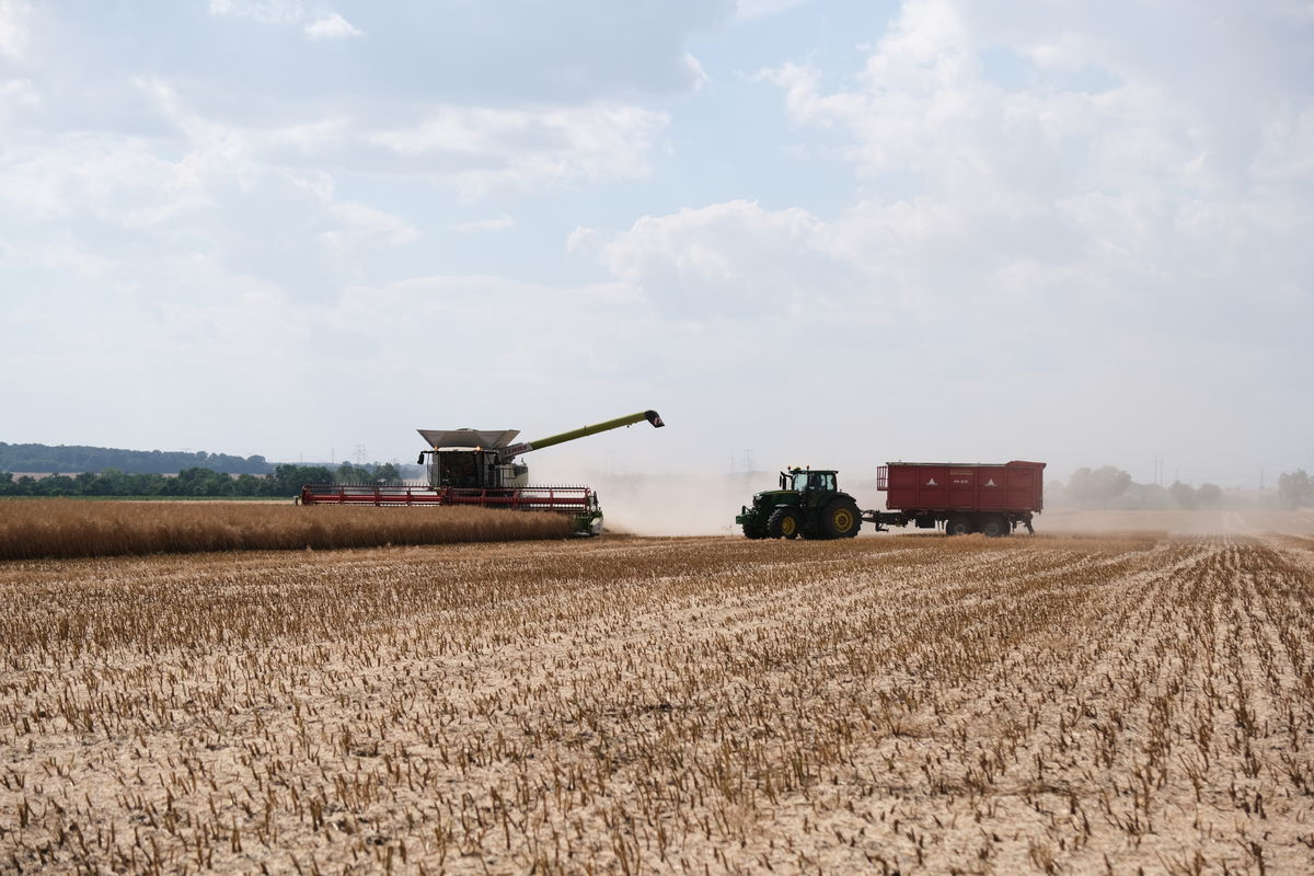 V Donau farm pracujú s najmodernejšou technikou.