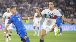 11 slovensko portugalsko pekarík