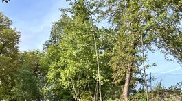 Park vo Vyšných Ružbachoch-vodopád.