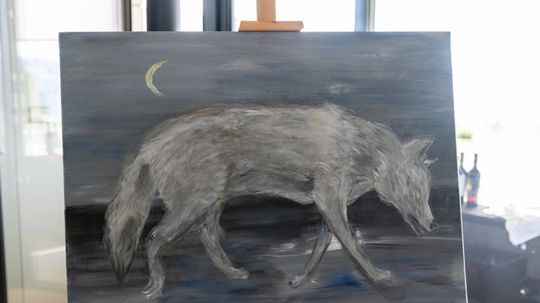 Šestica talentovaných štipendistov, nad ktorými...