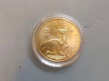 5 eurová minca