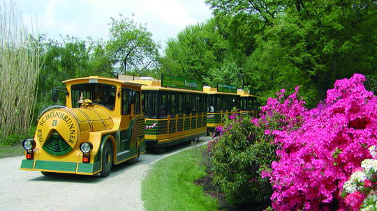 Vyhliadkový vláčik, ZOO Schönbrunn