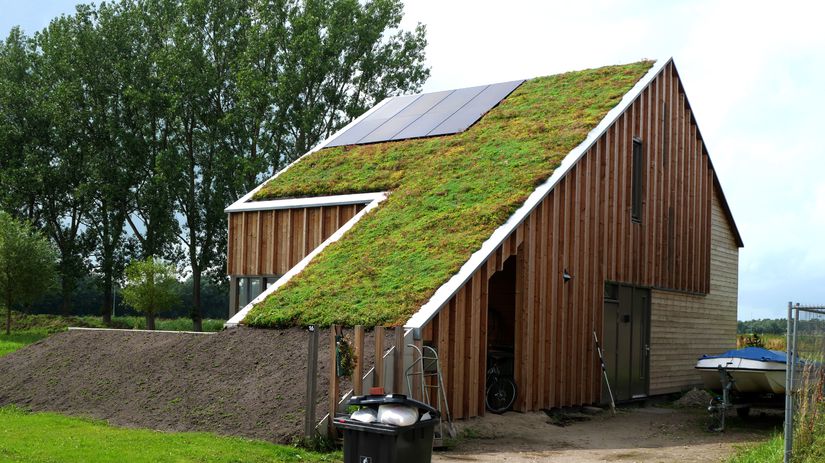 Ako šetriť energie už pri stavbe domu? Zelené strechy fungujú perfektne 