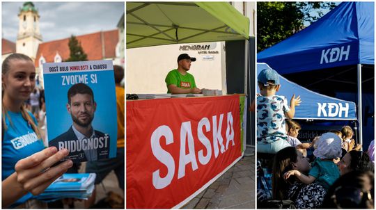 TIS: Známku 'Transparentná kampaň' získali len strany PS, SaS a KDH