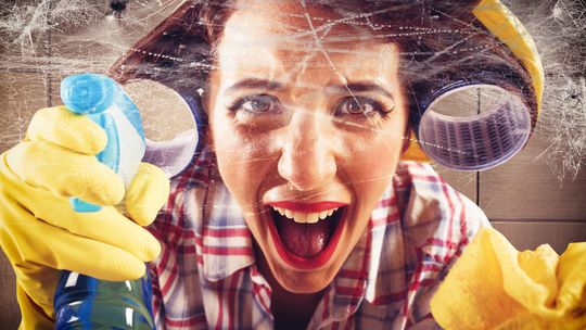 Domáce triky na ochranu pred pavúkmi: Udržte ich mimo domácnosť a konečne zistite pravdu: Prežijú vo vysávači?
