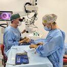 MUD. Roman Ondreicka operuje sivy zakal