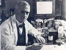 Pred 95 rokmi objavil Alexander Fleming...