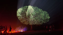 Biela noc 2023  Maotik Tree of Life