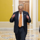 Kongres, USA, Chuck Schumer