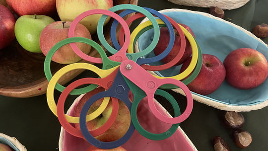 Perfektná pomôcka, ktorú ovocinári nedajú z ruky: Ak to s pestovaním jabĺk myslíte vážne, farebné krúžky sa vám zídu