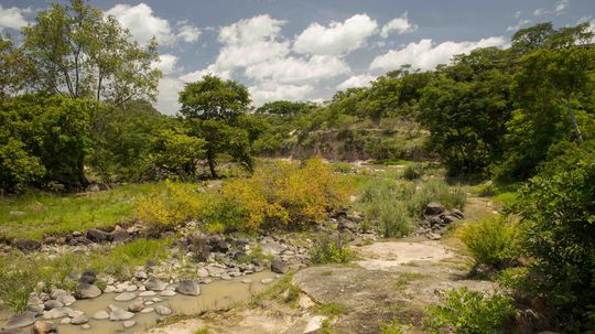 Z kedysi živej rieky zostalo len vyschnuté koryto.