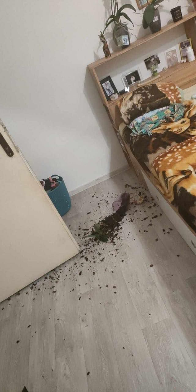 V jednom z bytov po zemetrasení na východnom...