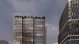 Bogle Architects