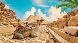 Egypt Tava, pr, nepouzivat