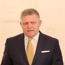 pellegrini fico danko