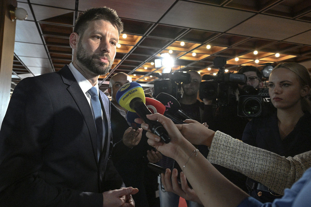 Predseda hnutia Progresívne Slovensko (PS)...