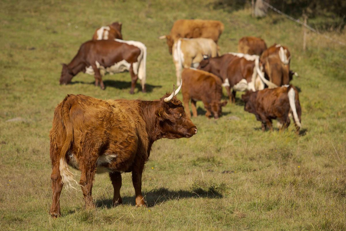 „Mnohí ľudia vošli do programu Mladý farmár s...