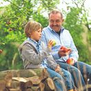 jablko, vnuk , dedo, ovocný sad