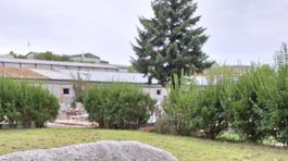 Na cintoríne v Michalovciach.