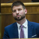 SR voľbyNRSR23 NRSR ustanovujúca schôdza BAX