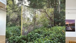 Snímka z výstavy Gohar Dashti s názvom...