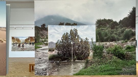 Snímka z výstavy Gohar Dashti s názvom...