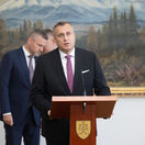 Pellegrini, Danko, Fico
