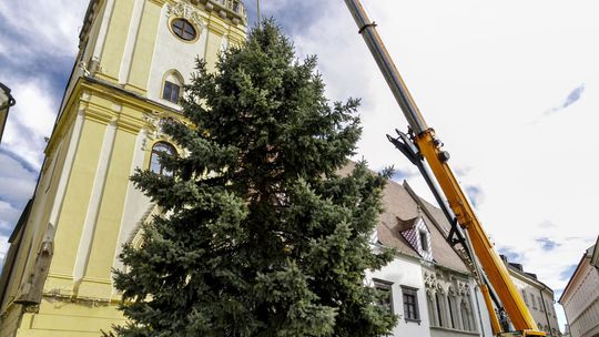 Vianočné trhy Bratislava predĺži do Silvestra, na námestí už stojí stromček