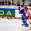 Nemecko šport hokej NP Slovensko Dánsko