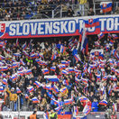 Slovensko - Island 3