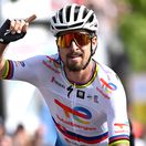 Tour de Suisse 2022 - 85th Edition - 3rd stage Aesch - Grenchen 176.9 km - 14/06/2022 - 14/06/2022 - Peter Sagan (SVK - Totalenergies) - photo Vincent Kalut/PN/SprintCyclingAgencyÂ©2022