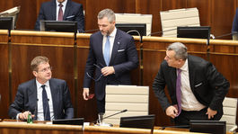 Parlament žiga Pellegrini Danko