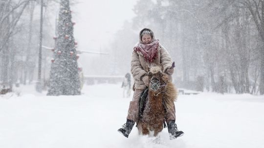 Žena jazdí na poníkovi v parku počas hustého...