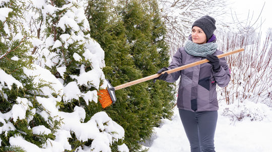 Využite sneh vo svoj prospech a nedovoľte mu, stať sa ničivou katastrofou: Naučte sa, kde v záhrade pomáha a kedy škodí