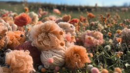 farba roka 2024 Peach Fuzz
