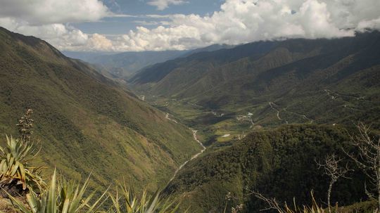 Údolie, kde pestujú kávu.