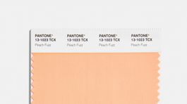 Odtieň Peach Fuzz od spoločnosti Pantone. 