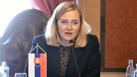 Boli porušené práva opozície, upozornila Marcinková pre súbeh zahraničného výboru s rokovaním NR SR