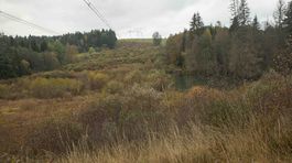 bobor, hradza