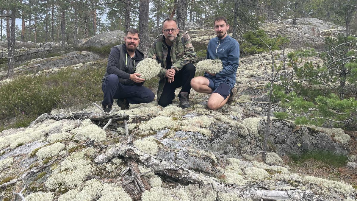 Michal Goga (vľavo), Martin Bačkor a Richard...