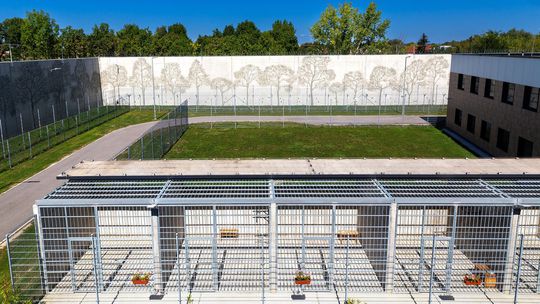 Ústav pre duševne chorých kriminálnikov...