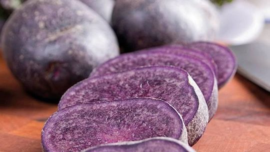 ‘Blue Star’: Fialová je šupka aj dužina. Hľuzy...