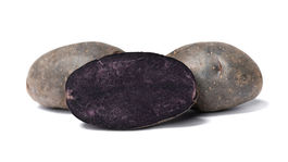 zemiaky, Violet Queen