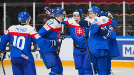 msj hokej slovensko