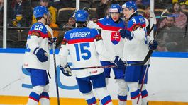 Slovensko vs. Nórsko